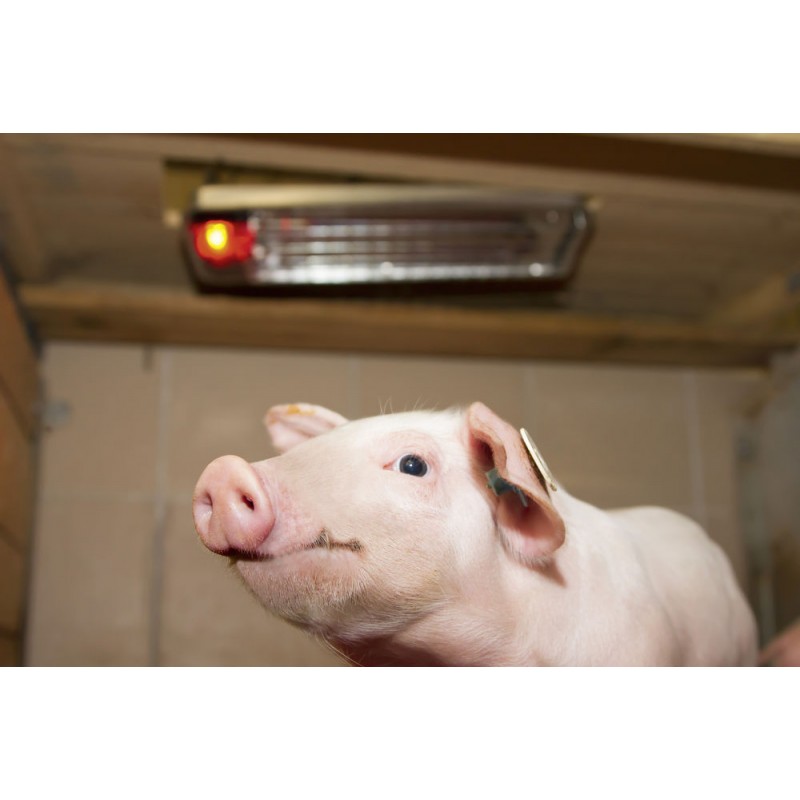 Zářič tepelný Sunny Boy, 100 W