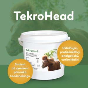 Headshaking – trápení pro koně i majitele