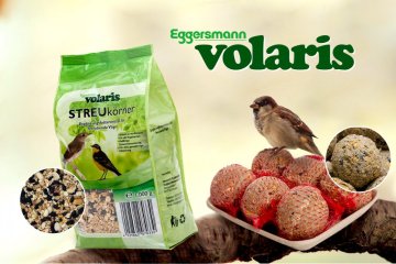 Krmivo Volaris - Volaris