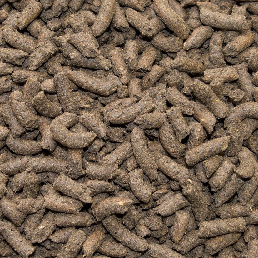 SPEED Leicht Fuss 20 kg