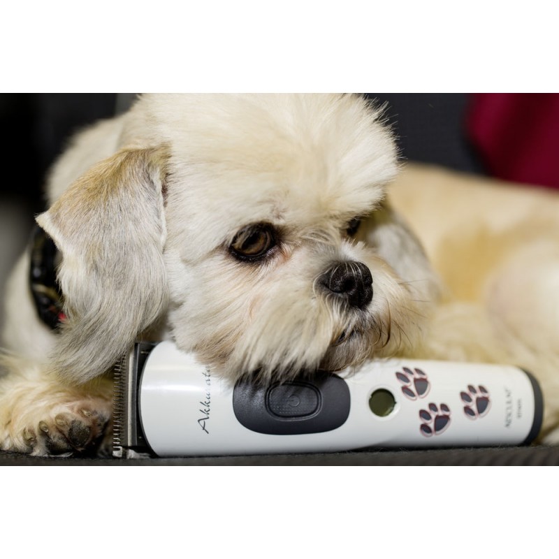 Aesculap strojek stříhací na psy Akkurata GT405 Aku, vč. stříhací hlavy 0,5/1,5/2,5 mm