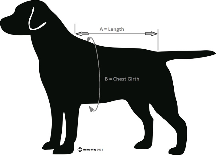 Nepromokavý obleček pro psy XL (41530)
