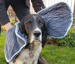 Henry Wag Noodle ručník s rukavicí