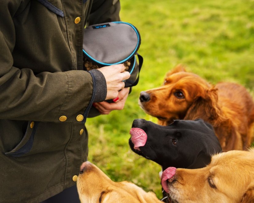 Cestovní dóza na granule (41561)