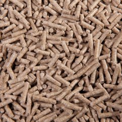 Profi Biotin Plus