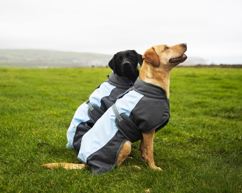 Nepromokavý obleček pro psy XL (41530)