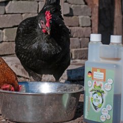 Körnerpick EMH Hühner Vital Direkt 1 l