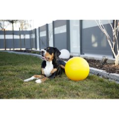 Hračka pro psy - balón plastový plovoucí, 30 cm, žlutý