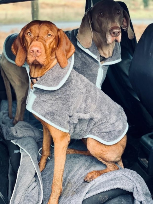 Henry Wag Obleček pro psy vel. M