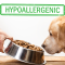 🐶 Hypoalergenní granule pro psy: Jak poznat, že je váš pes citlivý na krmivo?