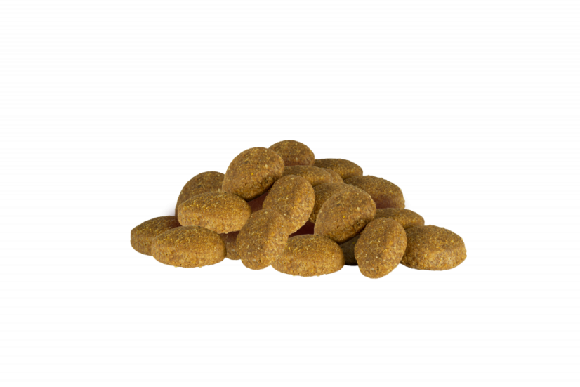 Eminent Adult Giant High Premium