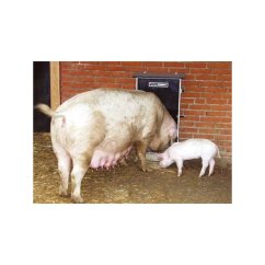 Domino S.0.22 UNI samokrmítko pro prasata a prasnice od 7 kg, se zvlhčováním