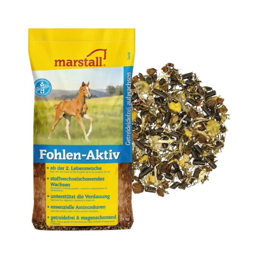 Marstall Fohlen-Aktiv