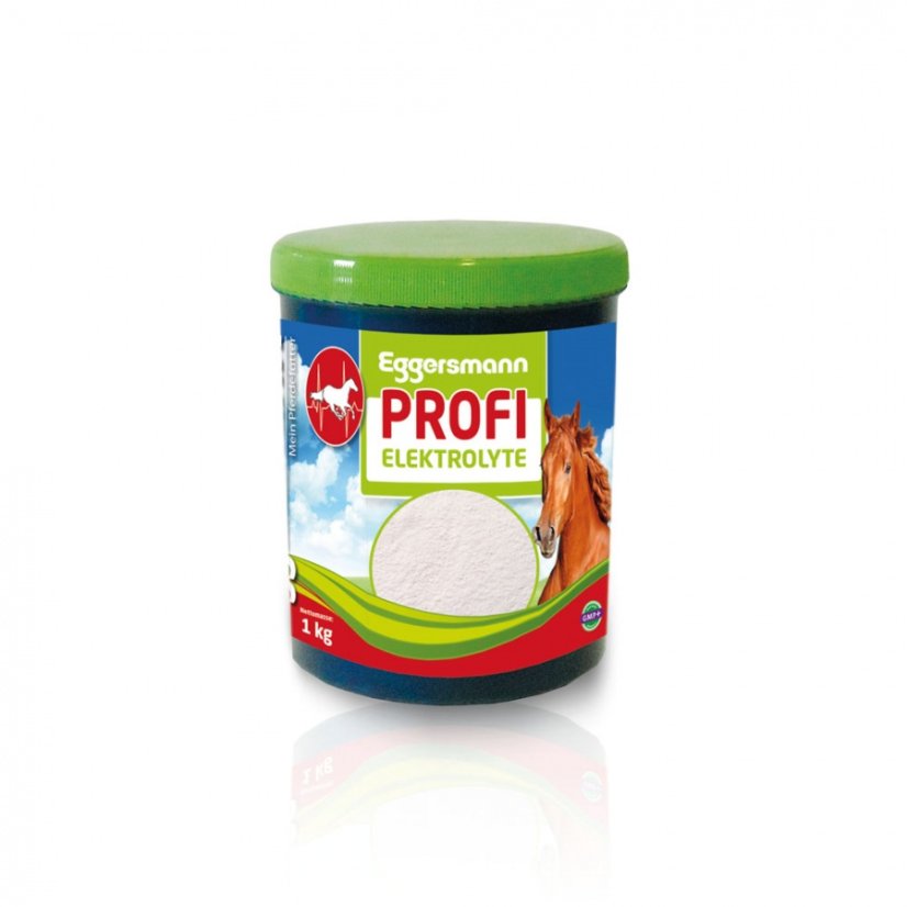 Profi Elektrolyte