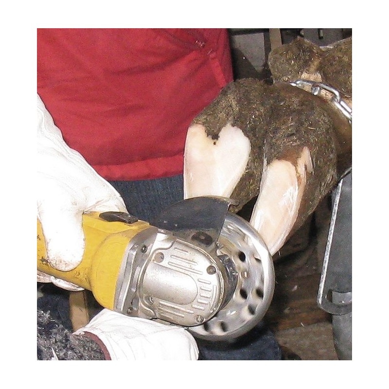 Kotouč brusný, segmentový Alu, 6 segmentů, 120 mm