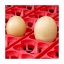 Líheň kuřat COVINA SUPER ET12 (EGG TECH), digitální automatická, s dolíhní