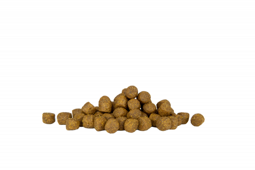 Eminent Puppy Large Breed High Premium