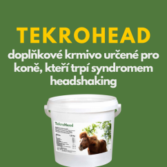 TekroHead
