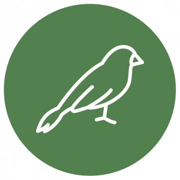 Vše pro ptactvo - Varianta - Houpačka pro ptáky dřevěný kruh