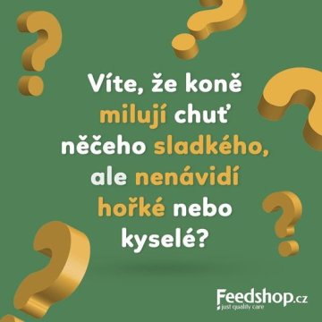 Chutě u koně