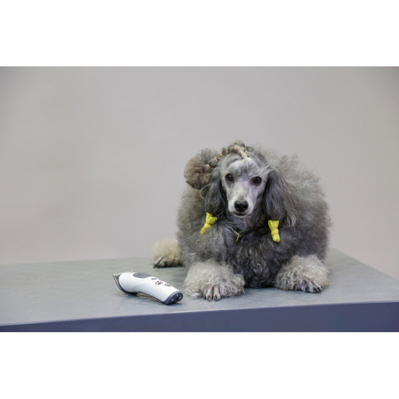 Aesculap strojek stříhací na psy Akkurata GT405 Aku, vč. stříhací hlavy 0,5/1,5/2,5 mm