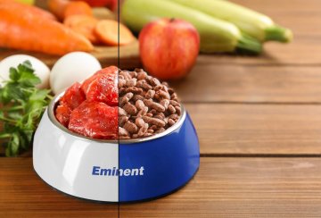 EMINENT HIGH PREMIUM - Eminent