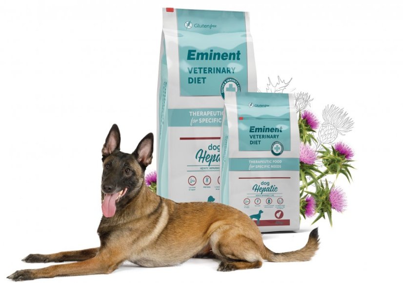 Eminent Diet Dog Hepatic
