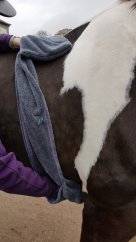 Henry Wag Equine ručník s rukavicí