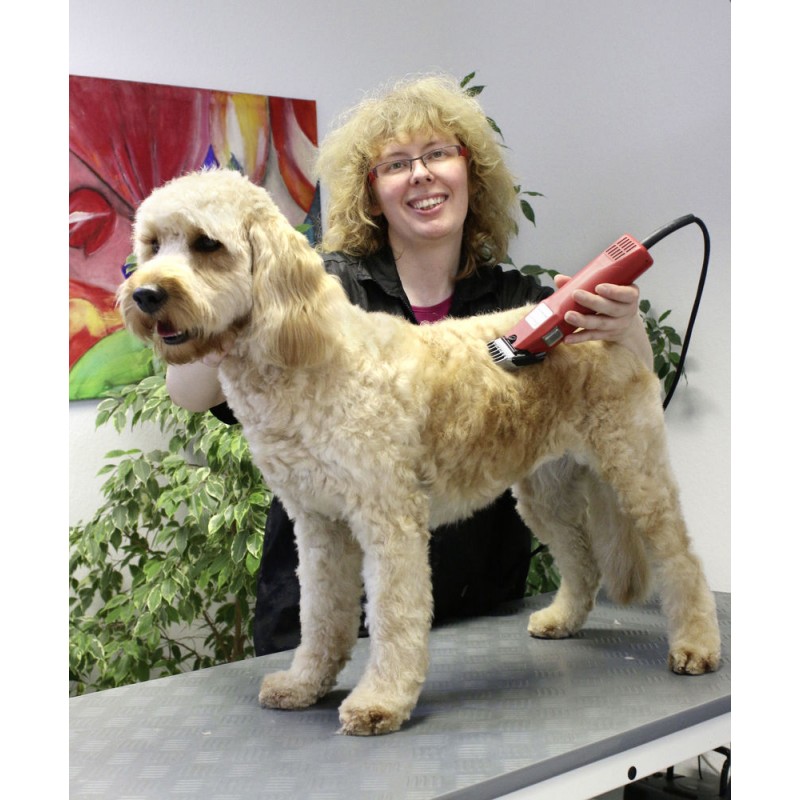 Aesculap strojek stříhací Favorita Speed GT114, na psy a malá zvířata