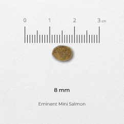 Eminent Mini SALMON