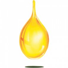 Olej z ostropestřce mariánského