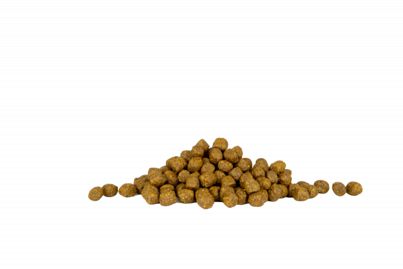 Eminent Adult Mini High Premium 15 kg