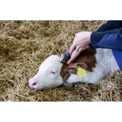 Odrohovač plynový Portasol III