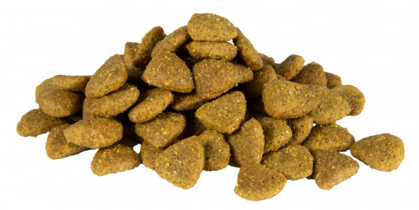 Eminent Diet Dog Mobility