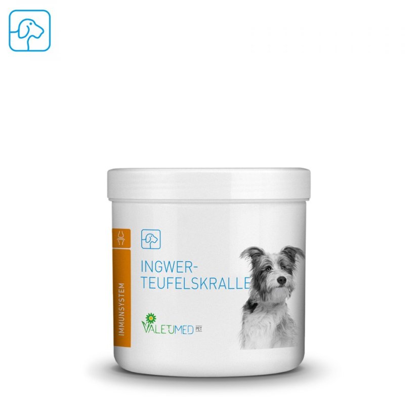 Valetumed Čertův dráp se zázvorem