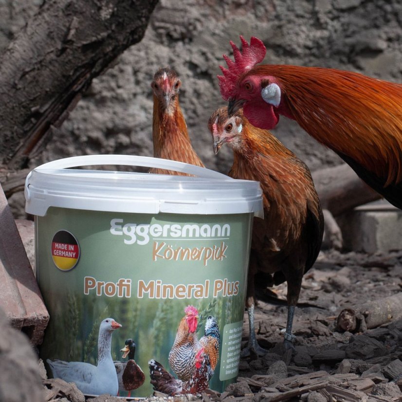 Koernerpick Profi Mineral Plus 5 kg (Eggersmann)