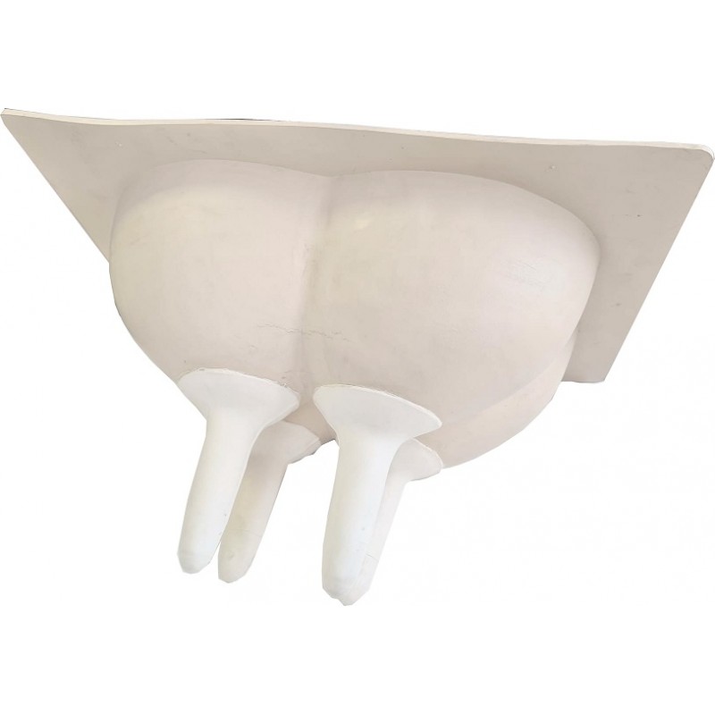 Vemeno umělé - trenažér ručního dojení