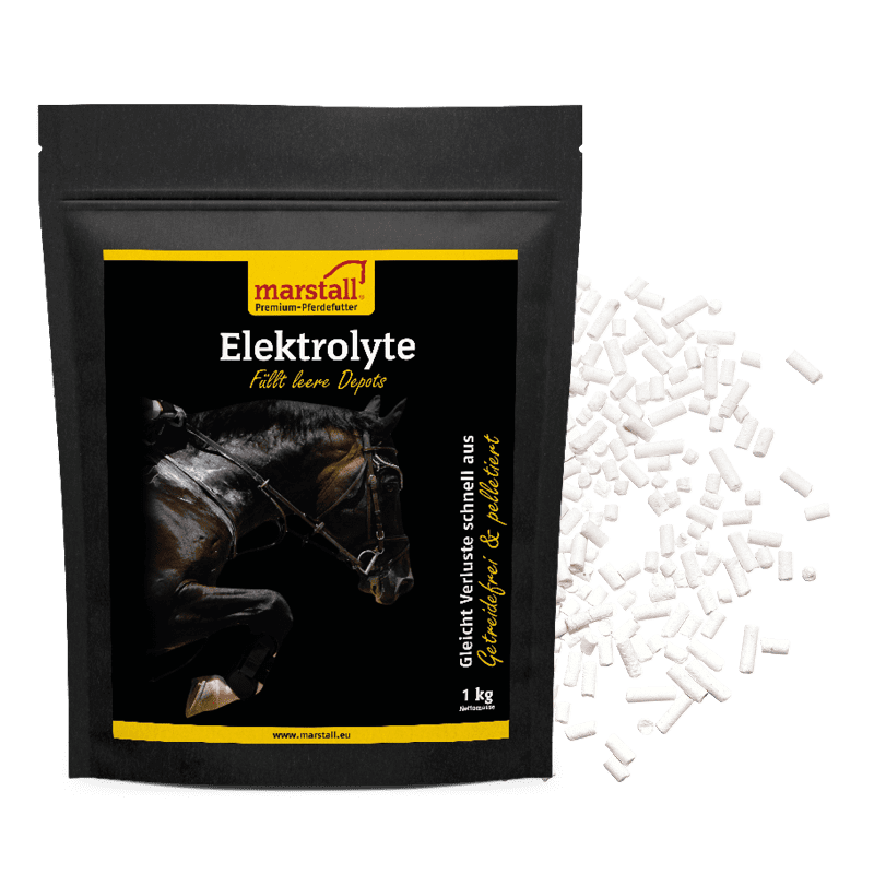 Marstall Elektrolyte 1 kg