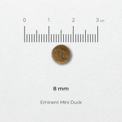 Eminent Mini DUCK