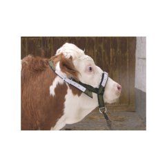 Ohlávka pro krávy a mladé býčky