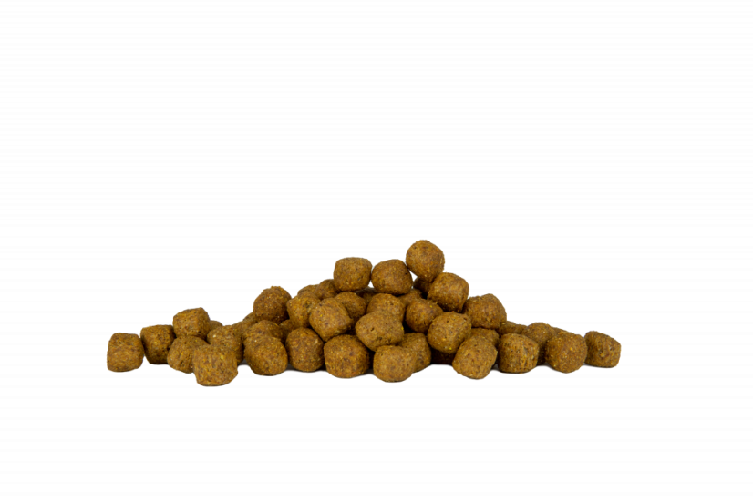 Eminent Adult High Premium