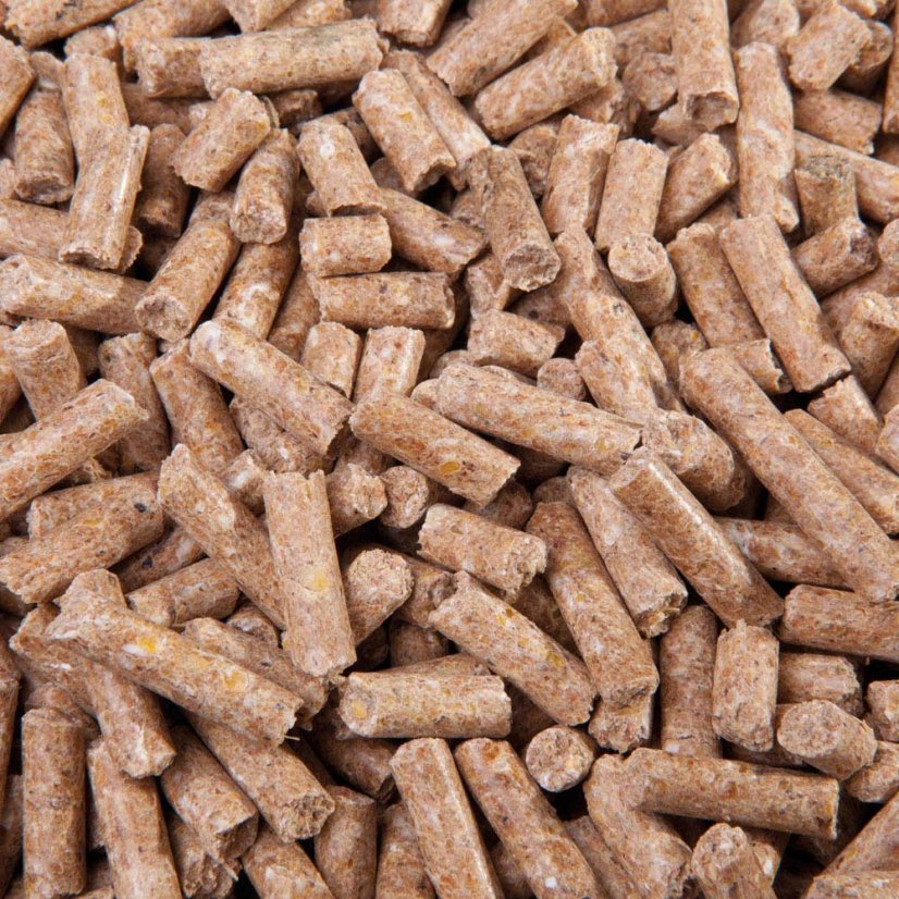 Fohlenstarter Pellets