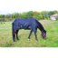Deka výběhová RugBe IceProtect 200 zimní, černá, 145 cm