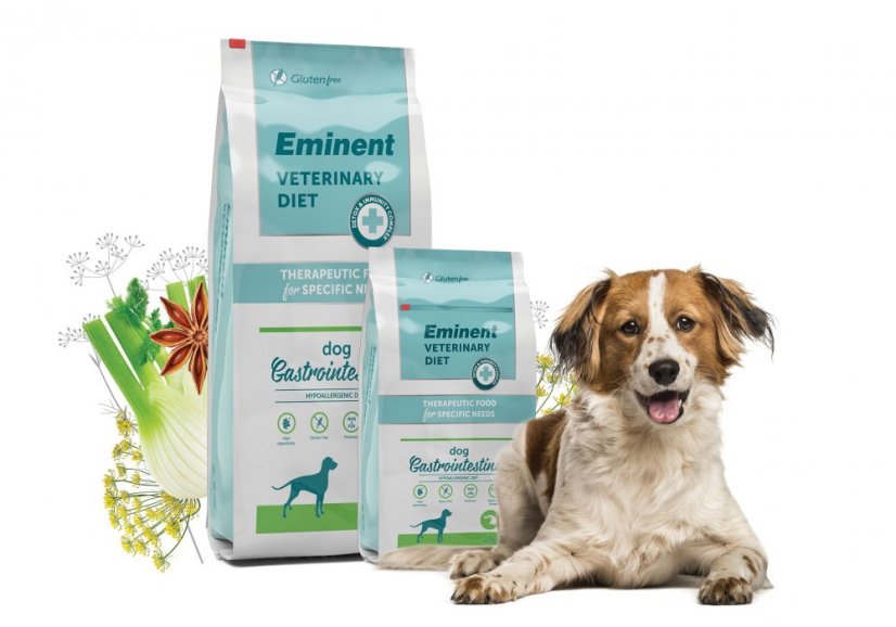 Eminent Diet Dog Gastrointestinal