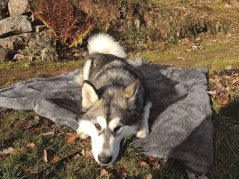 Henry Wag fleecová cestovní deka