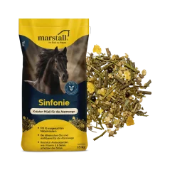 Marstall Sinfonie