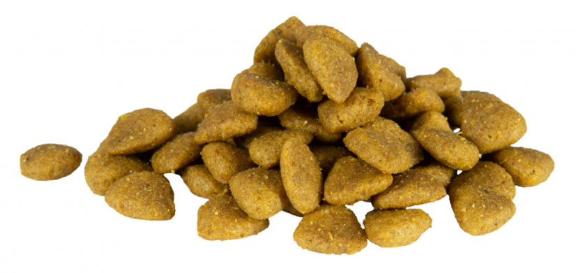 Eminent Diet Dog Hepatic